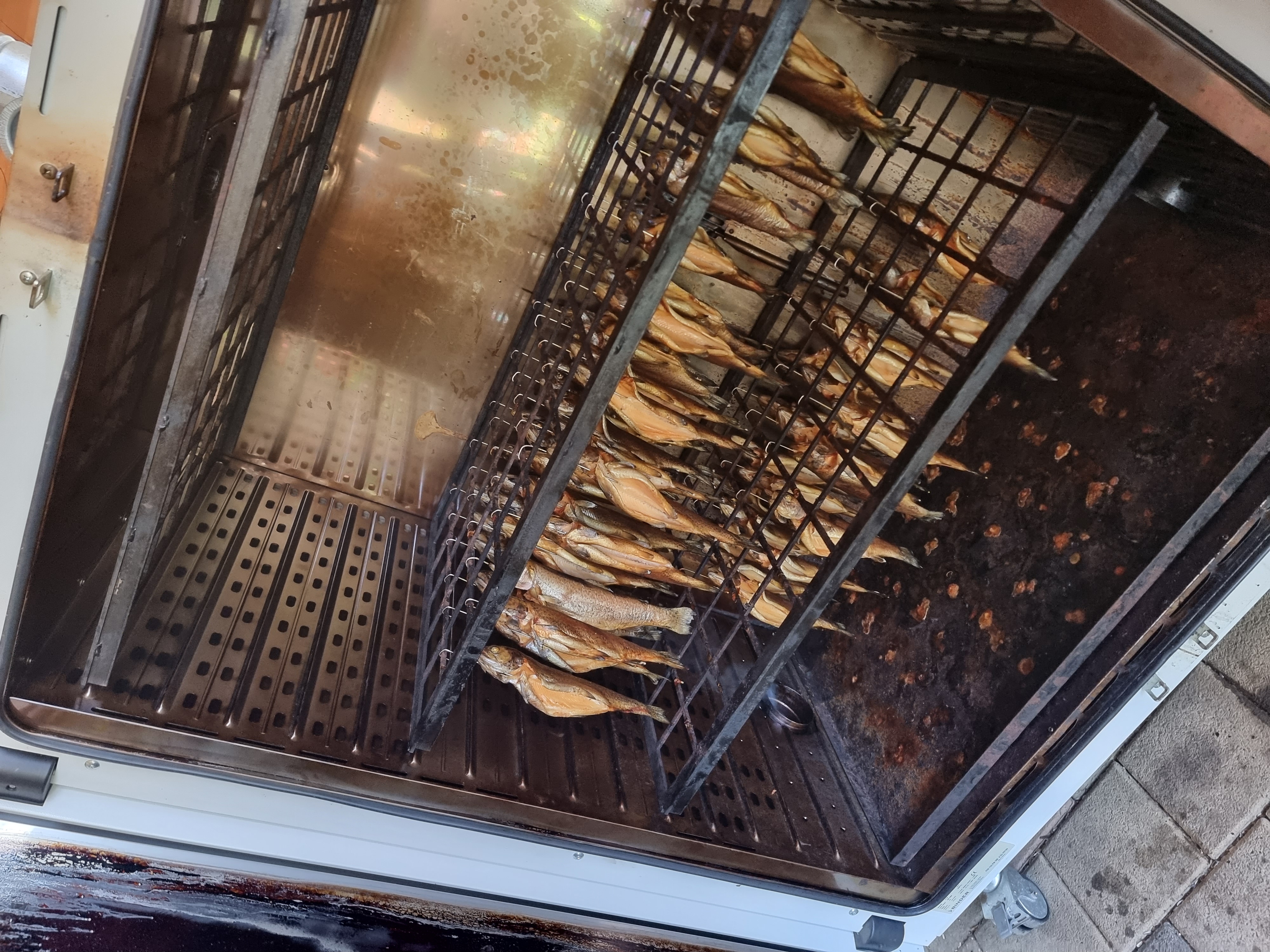 Galeriebild: 20230404 163121